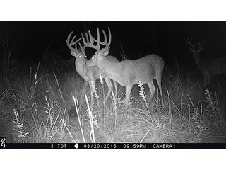 Property photo 60 - LAND AUCTION - 440+/- ACRES OFFERED IN 17 TRACTS IN OSAGE CO., OKLAHOMA